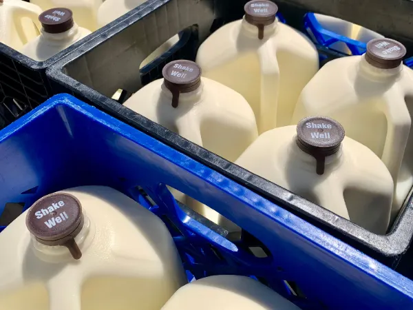 Gallons of milk in blue delivery crates