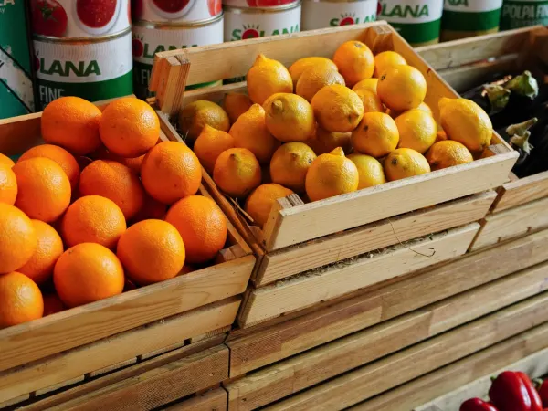 Fresh produce representing refrigerated freight