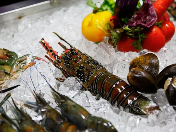 Fresh seafood on ice representing other sensitive freight
